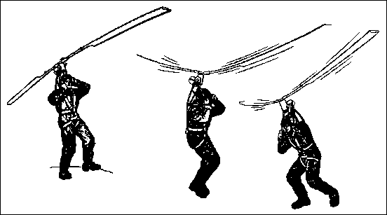 baumgartl heliofly