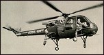 Westland "Scout" / "Wasp"