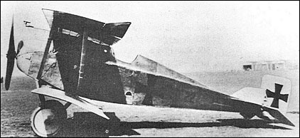 Aviatik (Berg) D.II