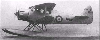 Airspeed Queen Wasp