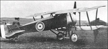 Alcock A.1