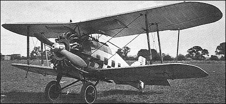 Gloster Gamecock