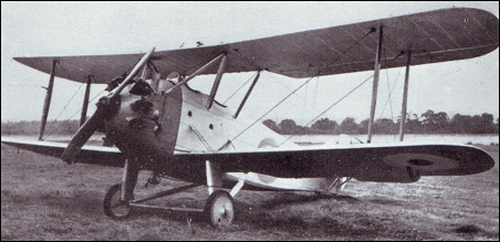 Hawker Hedgehog