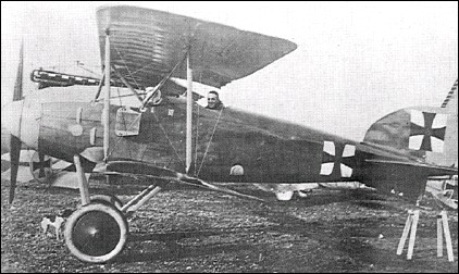 Albatros D II