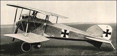 Albatros D I