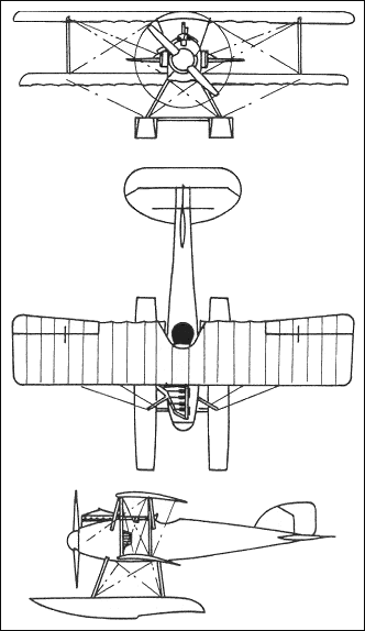 Albatros W 4