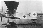 Albatros D X