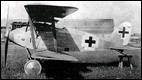 Albatros D XII