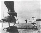 Albatros Dr II