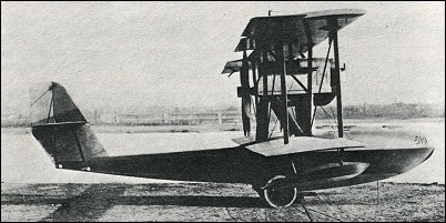 SIAI S.19