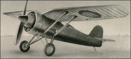 PZL P.11