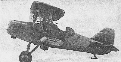 Tupolev ANT-13 / I-8