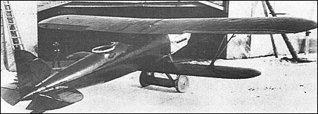 Polikarpov 2I-N1 (DI-1)