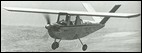 Bee Aviation Honey Bee
