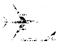 TA-3B Skywarrior