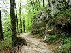 Near Bohinj Lake. Going to the Slap Savica waterfall