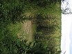 Таэваскода, вид сверху