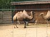 Estonia. Tallinn Zoo