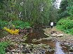 A river disappears under the ground