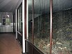 Auschwitz concentration camp