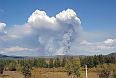 Forest fire in Chita oblast