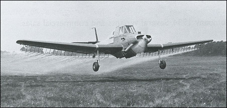 Auster Agricola